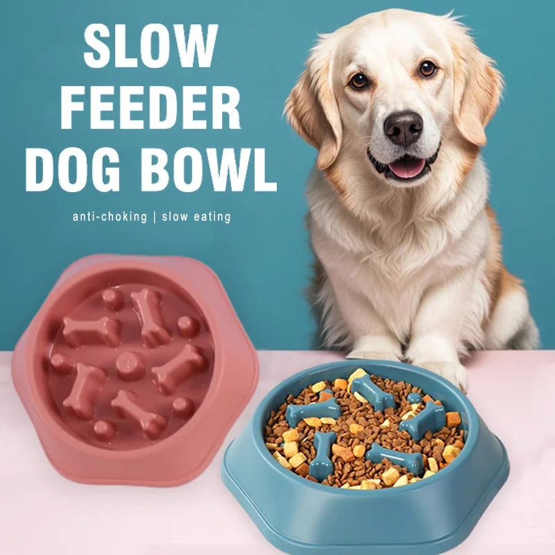Slow feeder dog bowl-anti-slip puzzle design for small and medium dogs.