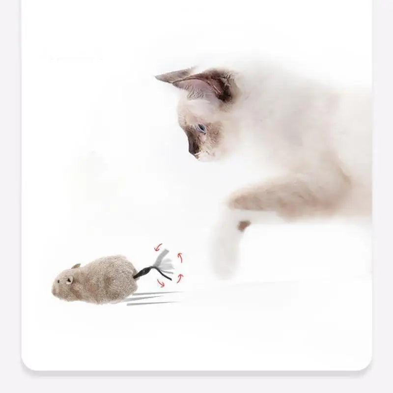 Wind-up plush mouse toy for Cats.