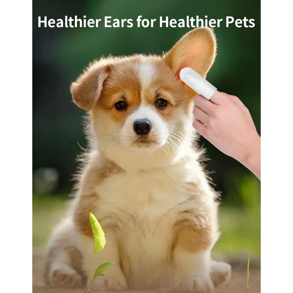 Pet ear wipes for dogs and cats — gentle ear cleaning and mite prevention.