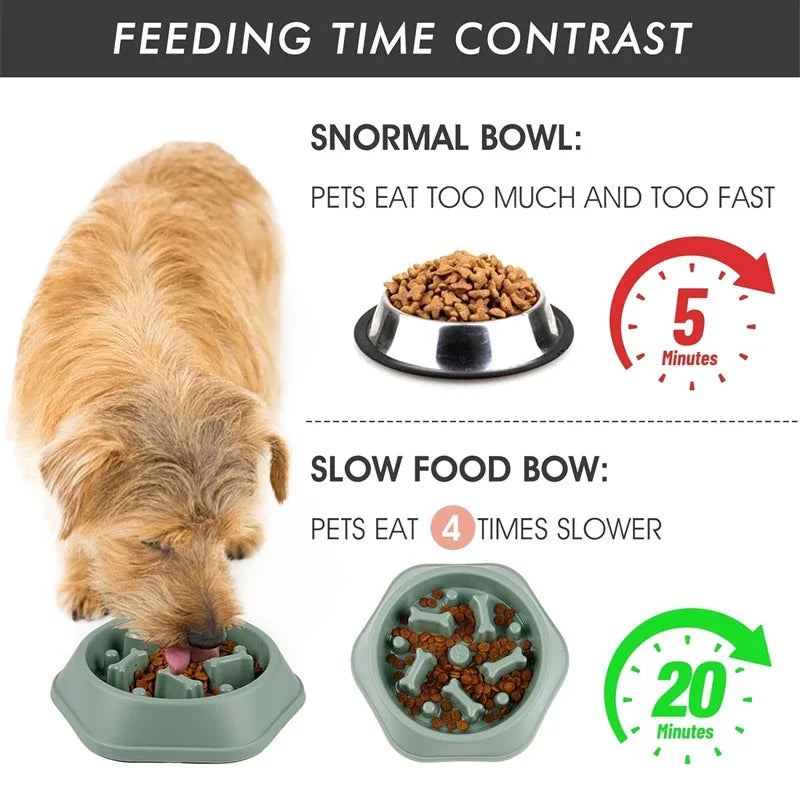 Slow feeder dog bowl-anti-slip puzzle design for small and medium dogs.